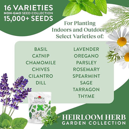 Burpee Heirloom Herb Seeds Variety Pack, Non-GMO, 16 Herbs - 15,000+ Seeds with Basil, Chives, Catnip, Chamomile, Cilantro, Dill, Lavender, Oregano, Parsley, Rosemary, Spearmint, Sage, Tarragon, Thyme