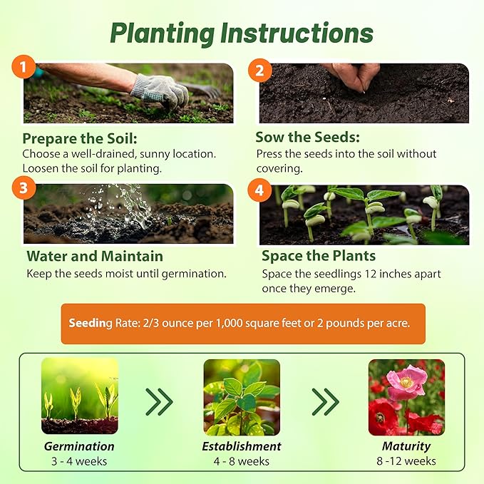 Outsidepride Shirley Poppy Seeds for Planting - 1 lb Annual, Drought-Tolerant & Easy to Grow Wildflower Seeds with Vibrant Mix Blooms for Landscaping, & Pollinator Garden