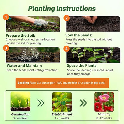 Outsidepride Shirley Poppy Seeds for Planting - 1 lb Annual, Drought-Tolerant & Easy to Grow Wildflower Seeds with Vibrant Mix Blooms for Landscaping, & Pollinator Garden