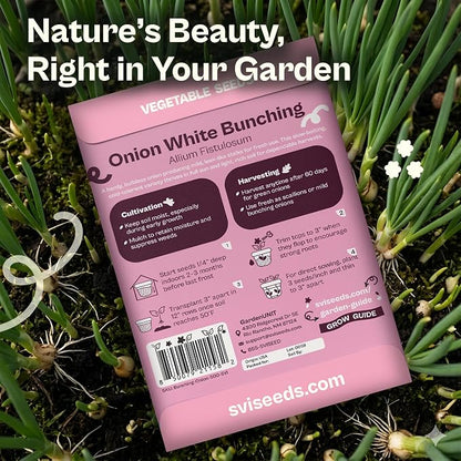 SVI 500 Bunching White Onion Seeds For Planting (Allium fistulosum) – Green Onion Seed Packets, Bunching Scallions Seed, Cebolla – Heirloom Vegetable Seeds for Planting Outdoors Home garden Containers