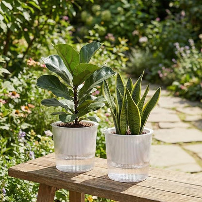 6 Pack Self Watering Pots for Indoor Plants Plastic Vertical Ribbed Semi Transparent Planters, Dual Layer Reservoir for Indoor Succulents Herbs Pothos(Clear, White,6.5 x 5.9 Inch)