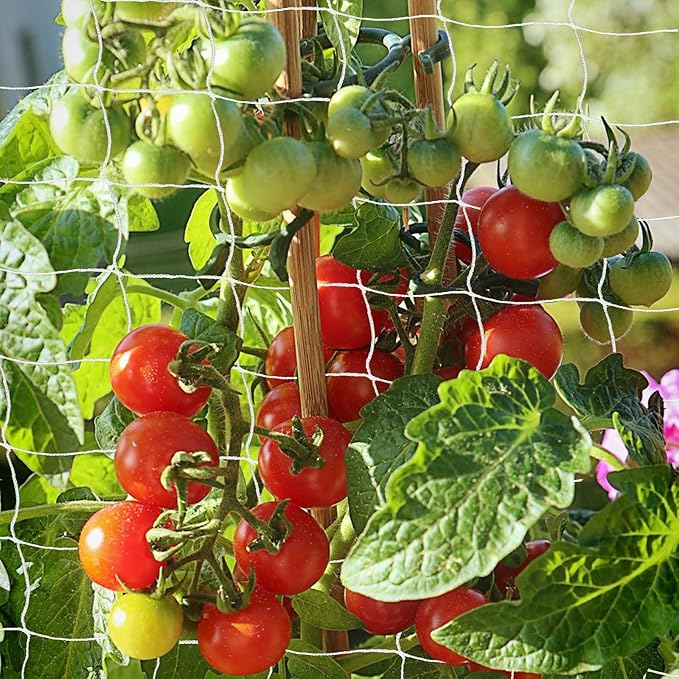 Trellis Netting, PDGROW Heavy Duty Garden Trellis Netting, 6 x 15 ft Trellis Netting for Climbing Plants, Outdoor Indoor Grow Net for Support Vine Vegetable Fruits and Flower, 4 Pack（Put in One Pack）