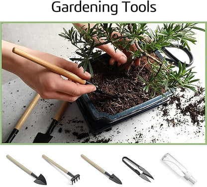 Bonsai Garden Starter Kit, 4 Seeds Growing into Sakura, Ginkgo, Black Pine, Red Flame, Including Complete Gardening Tools & A Planter Box with Cover for Men Women Beginners