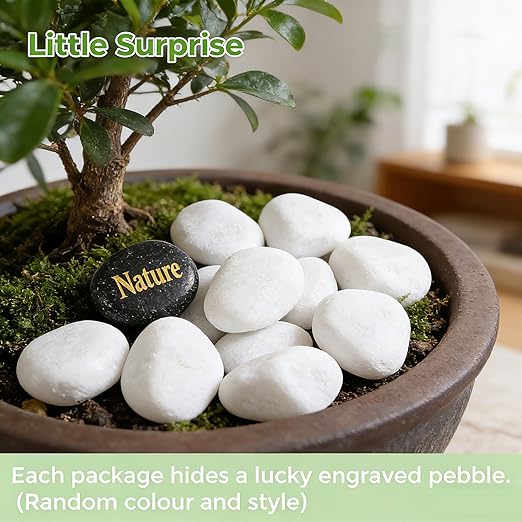 SIDONG 5 lbs White River Rocks, 1.2-2 Inches Pebbles for Indoor Plants, Aquarium Rocks Used in Fish Tank, Decorative Stones for Plants, Vases, Home Décor, Crafting, Garden Landscaping