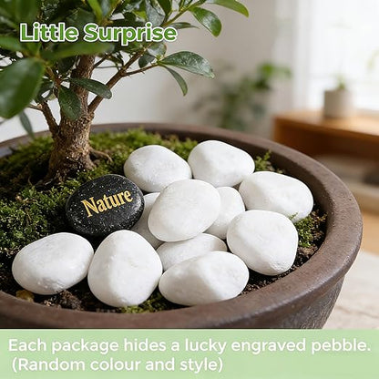 SIDONG 5 lbs White River Rocks, 1.2-2 Inches Pebbles for Indoor Plants, Aquarium Rocks Used in Fish Tank, Decorative Stones for Plants, Vases, Home Décor, Crafting, Garden Landscaping