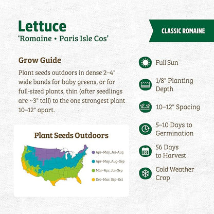 Back to The Roots 100% Organic Seed Packet - Lettuce 'Paris Isle Cos' 420mg