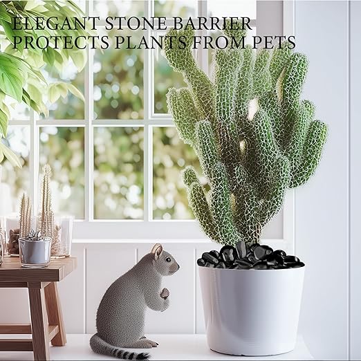 9lb Black River Rocks for Plants, 1-3 Inch Pebbles for Indoor Plants, Polished Garden Rocks Outdoor Landscaping, Decorative Stones for Vases, Succulents, Aquarium, Walkways
