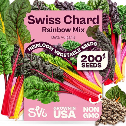 SVI 200 Rainbow Mixture Swiss Chard Seeds (Beta Vulgaris VAR. Cicla) - Five Color Silverbeet Chard, Colorful Stems, Non GMO Heirloom Seed - Perfect Vegetable Seeds in Seed Packets for Home Garden