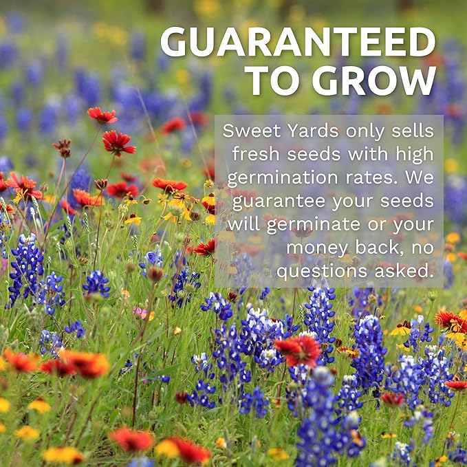Midwest Regional Mix - Bulk 1/4 Pound Pouch - 60,000 Flower Seeds for Planting - Wildflower Mix