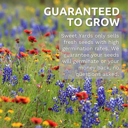 Southeast Regional Mix - Bulk 1/4 Pound Pouch - 48,000 Flower Seeds for Planting - Wildflower Mix