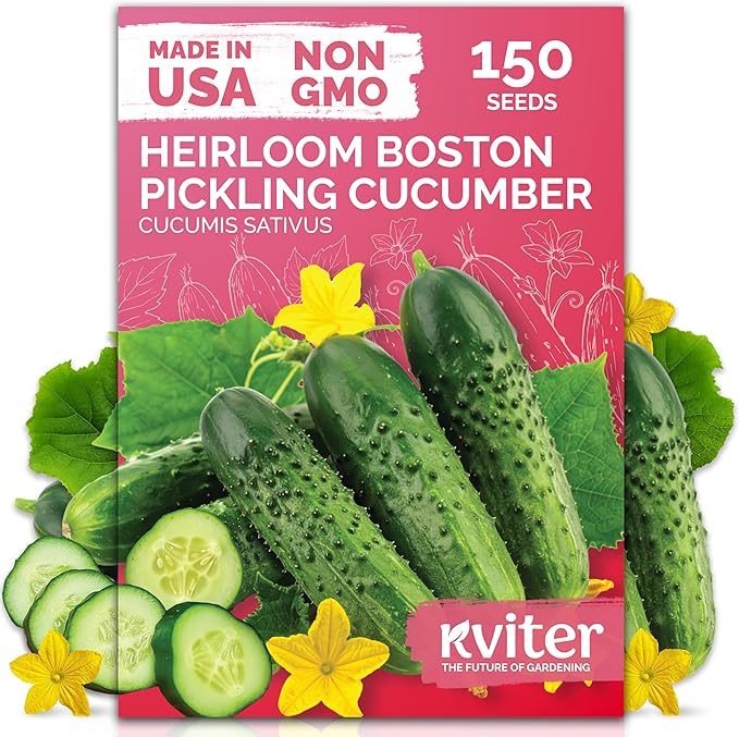 KVITER 150 Boston Pickling Cucumber Seeds (Cucumis sativus) - Boston Pickler Cucumber, Perfect Cucumbers for Pickling and Slicing - Vegetable Seeds for Planting in Home Garden & Containers