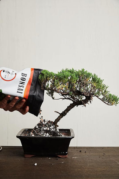 Bonsai Soil All Purpose Mix | Fast Draining Pre Blend (2 Quart Bag) Plant | Pumice, Lava, Calcined Clay and Pine Bark ● Potting Pre Mixed Bonsai Plant Soil Mixture By The Bonsai Supply