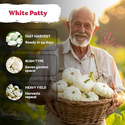 KVITER 50 White Patty Pan Squash Seeds (Cucurbita Pepo) – Scallops Bush Summer Squash Seed Packets for Vegetable Garden – Non GMO Heirloom Vegetable Seeds for Planting Outdoors, Home Garden