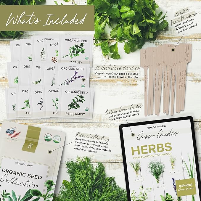 15 Certified Organic Herb Seeds Variety Pack (4X More) 10,000+ Non GMO Seeds for Planting Indoor Herb Garden or Outdoor Herb Garden Seeds for Planting | Including Basil, Rosemary & More