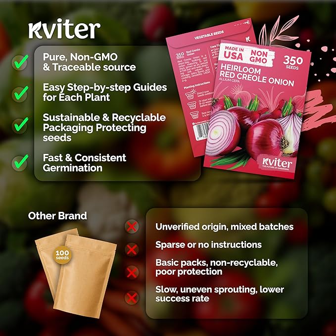 KVITER 350 Red Creole Onion Seeds (Allium Cepa) - Cebolla Roja, Short Day Kitchen Onion for Fresh Cooking, Heirloom Seed Packets- Vegetable Seeds for Outdoor Vegetable Garden, Containers, Greenhouses