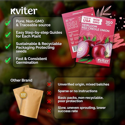 KVITER 350 Red Creole Onion Seeds (Allium Cepa) - Cebolla Roja, Short Day Kitchen Onion for Fresh Cooking, Heirloom Seed Packets- Vegetable Seeds for Outdoor Vegetable Garden, Containers, Greenhouses