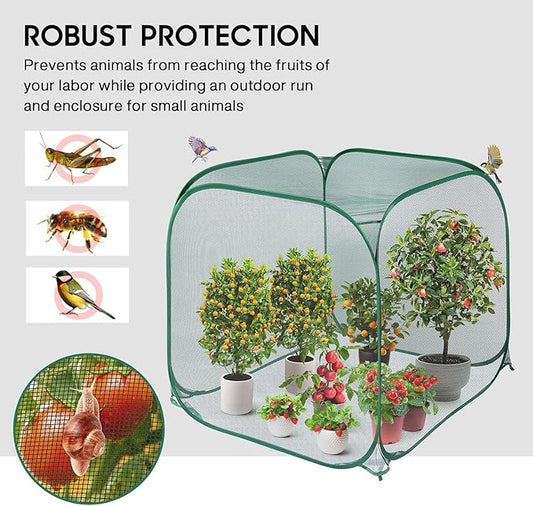 MIAOKE 2 Pack Pop Up Mesh Plant Cover, 35.4x35.4x38.2 Inch No Build Protection Against Insects Garden Netting, Raised Bed Cover for Barrier Against Insects for Vegetable Plant Fruit Animals