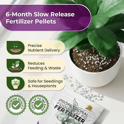 Fiddle Leaf Fig Fertilizer Pellets 16-5-11 Slow Release | Houseplant Fertilizer for Fiddle Leaf Fig, Fig Tree & Indoor Plants | Plant Food for Seedlings & Mature Plants | 5.2 oz