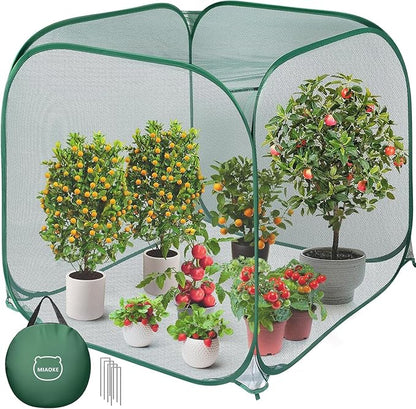 MIAOKE 2 Pack Pop Up Mesh Plant Cover, 35.4x35.4x38.2 Inch No Build Protection Against Insects Garden Netting, Raised Bed Cover for Barrier Against Insects for Vegetable Plant Fruit Animals