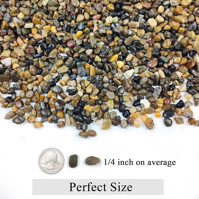 FANTIAN 10 lbs Pea Gravel for Landscaping,1/4 Inch Aquarium Gravel. Decorative River Rocks for Fish Tank Succulent Vase Cactus Bonsai Plant Soil Cover and Outdoor Landscaping Rocks