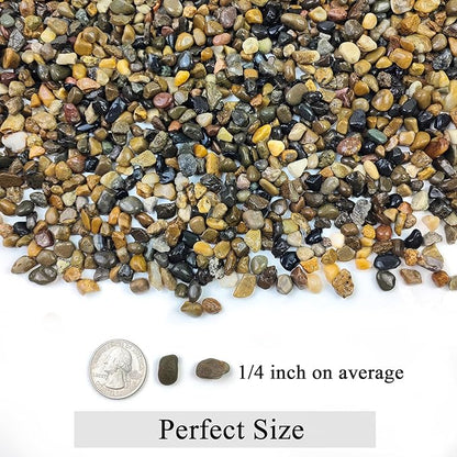 FANTIAN 20 lbs Natural Fish Tank Gravel,1/4 Inch Pea Gravel. Mixed Color River Rocks for Aquarium, Succulent, Vase, Cactus Bonsai, Plant Soil Cover and Outdoor Landscaping Rocks