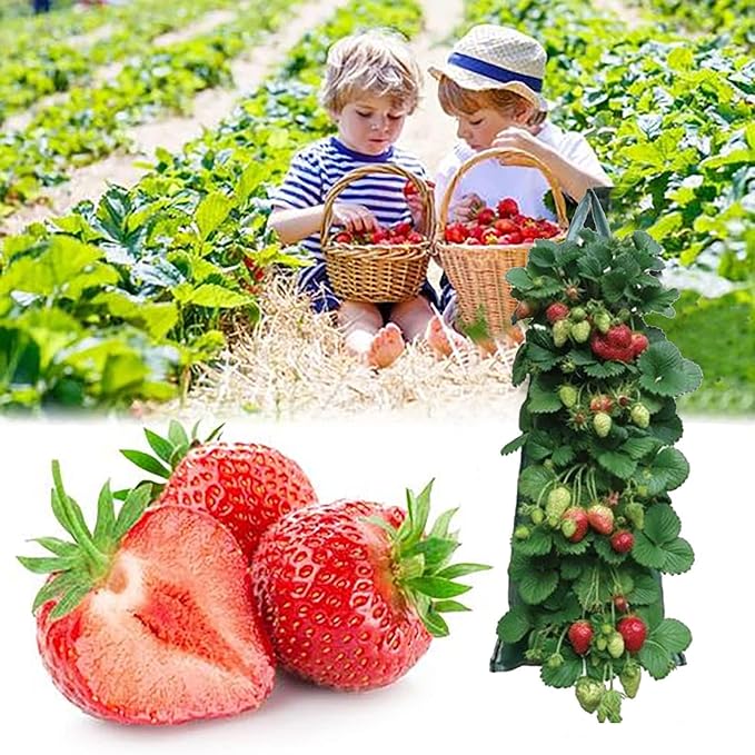 2024 Hanging Strawberry and Tomato Planter Bags - Upside-Down Patio Garden Grow Bags With Handle for Outdoor Flower Planting (5)