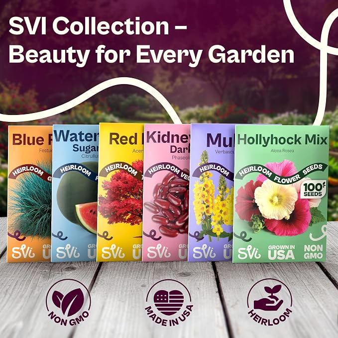 SVI 1500 Red Garnet Amaranth Seeds (Amaranthus Tricolor) – Josephs Coat Plant Seed Packets Bulk, Deep Red Amaranthus Flower – Heirloom Vegetable Seeds for Outdoor Garden, Vegetable Garden, Containers
