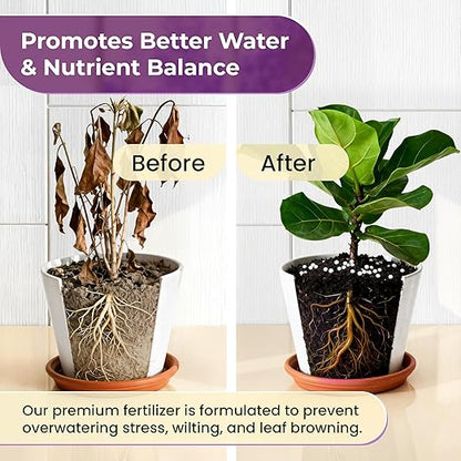 Fiddle Leaf Fig Fertilizer Pellets 16-5-11 Slow Release | Houseplant Fertilizer for Fiddle Leaf Fig, Fig Tree & Indoor Plants | Plant Food for Seedlings & Mature Plants | 5.2 oz