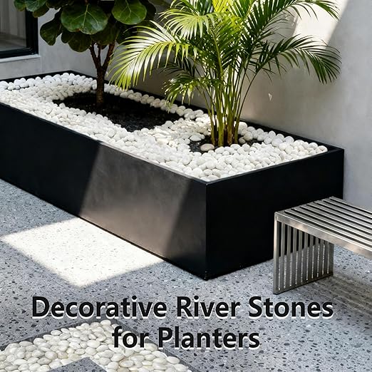45LB White River Rocks, High Polished Pebbles, 1–2 inch Decorative Rocks for Garden Landscaping, Lava Rocks for Plants, Aquarium & Fish Tank Rocks, Outdoor Decorative Stones & Pathway Design