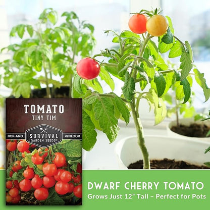 Tiny Tim Tomato Seeds - Dwarf Cherry Tomatoes for Planting Indoors or Patio, Compact Heirloom Variety for Containers, High Yield, Non-GMO - Survival Garden Seeds (1 Pack)
