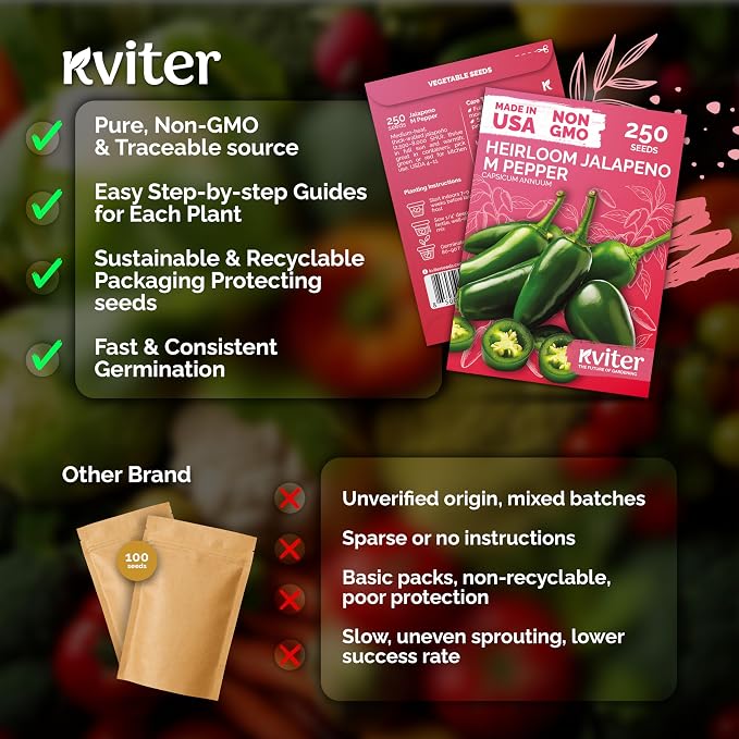 KVITER 250 Jalapeno Peppers M Heirloom Seeds (Capsicum annuum) – Jalepeno Chili Hot Peppers, Mexican Pepper Seed Packets – Vegetable Seeds for Planting Outdoor & Indoor Garden Containers, Raised Beds