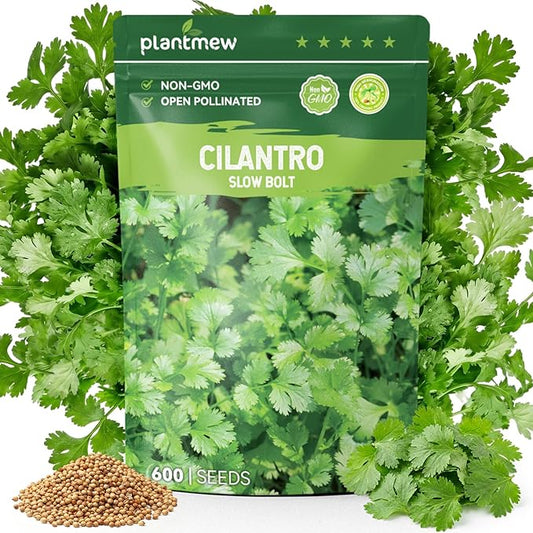 600 Cilantro Seeds for Planting Indoors & Outdoors - Premium Non-GMO Slow Bolt Coriander Seeds, High Germination Herb Seeds for Home Garden
