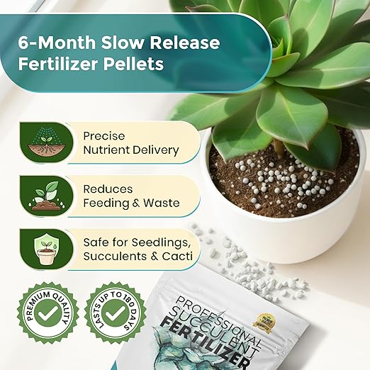 Succulent Fertilizer Pellets 13-11-11 Slow Release | Fertilizer for Succulents, Cactus & Indoor Plants | Plant Fertilizer for Seedlings & Mature Plants | Gardening Essentials, 5.2 oz Resealable Bag
