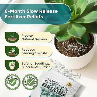 Succulent Fertilizer Pellets 13-11-11 Slow Release | Fertilizer for Succulents, Cactus & Indoor Plants | Plant Fertilizer for Seedlings & Mature Plants | Gardening Essentials, 5.2 oz Resealable Bag