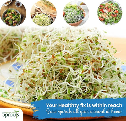 Nature Jims Sprouts Alfalfa Seeds – Non-GMO Organic Sprout Growing Kit for Planting – Premium Resealable Bag for Fresh Homegrown Sprouting Seeds – Rich in Nutrients, Vitamins, Fiber & Minerals – 16oz