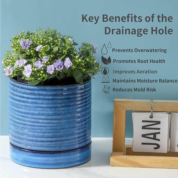 HASENSE Plant Pot, 6 Inch Ceramic Kitchen Garden Pot for Plant with Drainage Hole and Tray, Indoor/Outdoor Succulent Herb Planter, Modern Blue Home Office Decorative Gifts