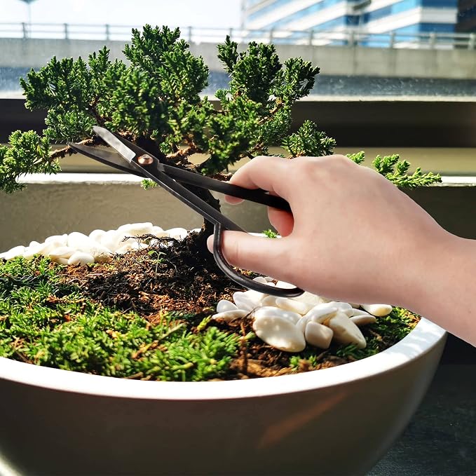 BambooMN Bonsai Basics Set - 7.2" Trimming Shears & 7" Heavy Duty Butterfly Shear - 10 Sets
