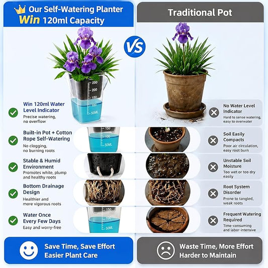 12 Pack 2.5" Self Watering Pots for Indoor Plants,Small Clear Plastic Planters with Water Level Indicator & Drainage Holes for Alocasia Propagation, African Violets, Seedlings, Cuttings and Succulents