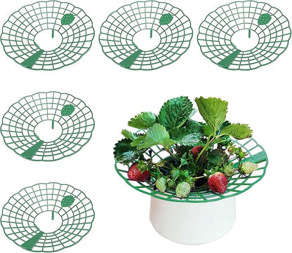 5 Packs Strawberry Supports - Reusable Strawberry Plant Stand Waterproof Growing Frame Plastic Fruit Tray Protectors Sturdy Strawberry Growing Racks to Keep Strawberries Off Mold, Rot and Dirt