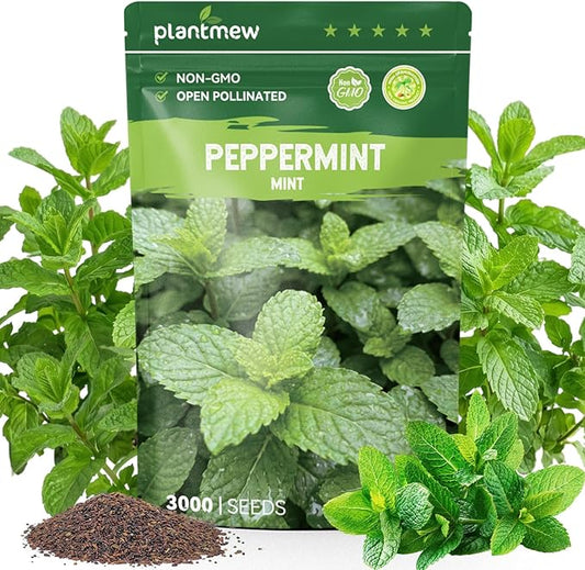 3000 Peppermint Seeds for Planting Indoors & Outdoors - Premium Non-GMO Heirloom Peppermint Plant Seeds, High Germination Herb Seeds for Home Garden
