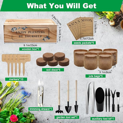 Bonsai Tree Starter Kit, Indoor Bonsai Tree Kit Meeting Planting and Caring Needs Curated Design for A Complete Gardening Experience for Enthusiasts-no Seeds Included