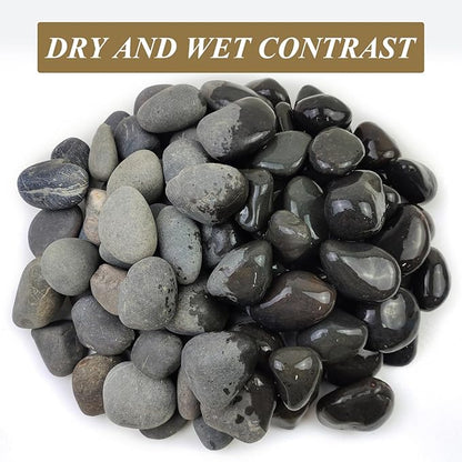 FANTIAN 5 lbs Black Stones Pebbles for Planters, 2-3 Inch Natural Decorative Black River Rocks for Outdoor Landscaping, Aquarium, Garden, Walkways, Fountain and Painting Rocks