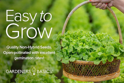 Gardeners Basics Lettuce and Greens Heirloom Vegetable Seed Non-GMO Seeds for Planting Indoors and Outdoor - Lettuce Buttercrunch, Romaine, Arugula, Kale and Spinach, Pack of 5