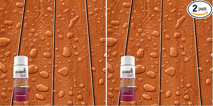 Olympic WaterGuard 11.75 oz. Woodland Cedar Semi-Transparent Exterior Wood Stain Plus Sealer (Pack of 2)