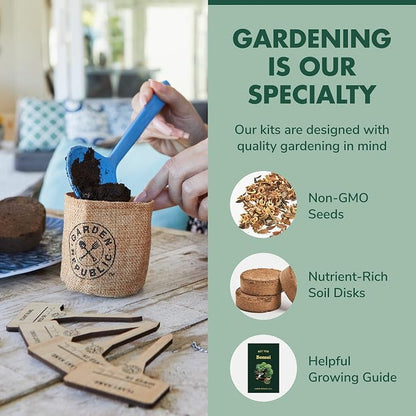 Garden Republic Bonsai Tree Kit - Mini Bonsai Seeds, 3 Types with Stylish Stone Pots, Pruning Shears Tool, Plant Markers, Wood Gift Box, and Potting Soil