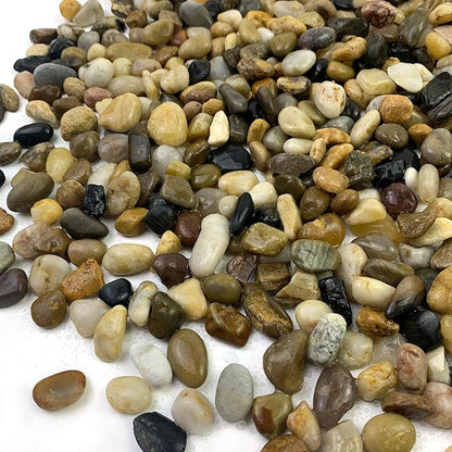 FANTIAN 5 lbs Gravel for Fish Tank, 2/5 Inch Mixed Color River Rocks for Aquarium, Vase Fillers, Cactus Bonsai, Plant Soil Cover and Outdoor Garden Landscaping Rocks