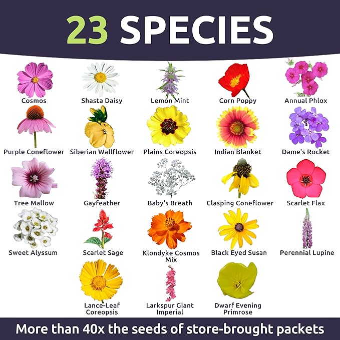 Southeast Regional Mix - Bulk 1/4 Pound Pouch - 48,000 Flower Seeds for Planting - Wildflower Mix