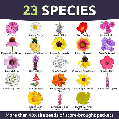 Southeast Regional Mix - Bulk 1/4 Pound Pouch - 48,000 Flower Seeds for Planting - Wildflower Mix