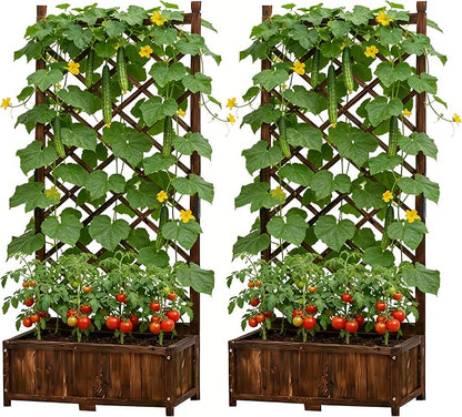 Anraja Raised Garden Bed with Trellis Wooden Planter Box Set of 2 Outdoor Wood Privacy Screen for Climbing Plant Planting Flower Patio Tomato Vegetable Herb Balcony Porch 29.5" L x 17.0" W x 67.0" H