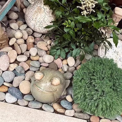 Natural River Rocks-5 lbs of Pebbles and River Stones,2-3 Inch Plant Rocks for Landscaping,Garden Paving,Crafting,Walkways,and Outdoor Decorative Stone,Mexican Beach River Rocks